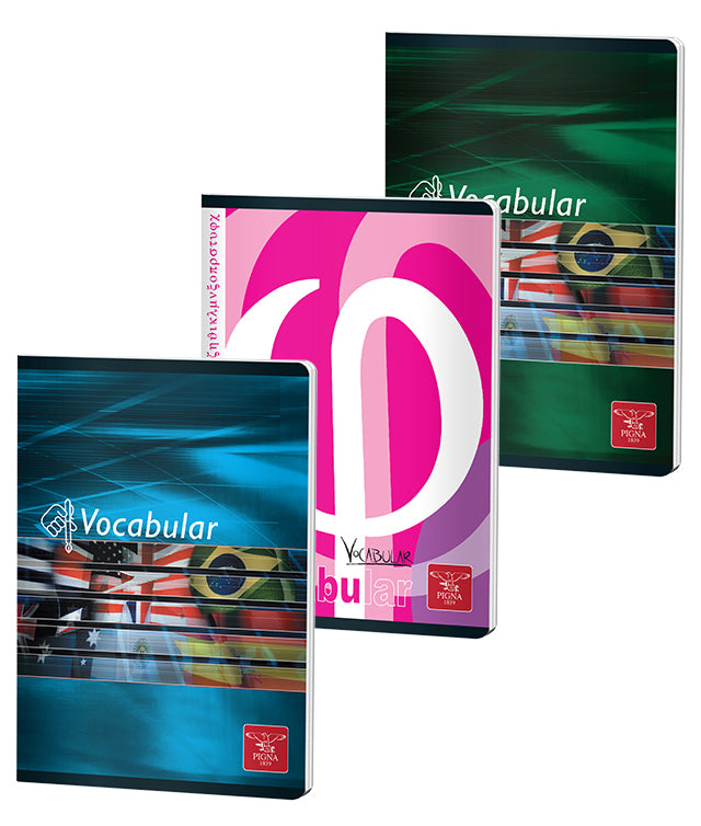 VOCABULAR 24 FILE COLOR PIGNA