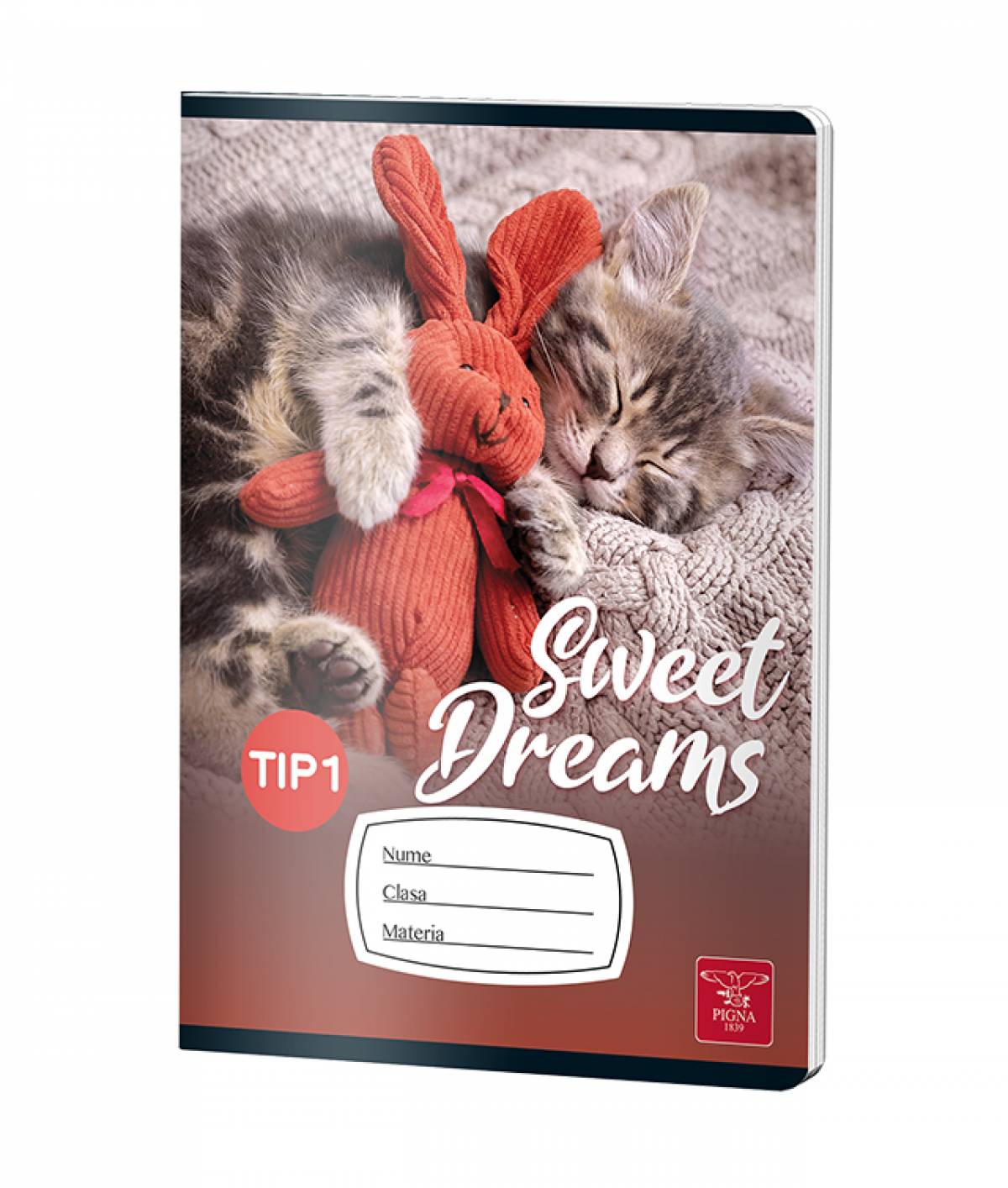 CAIET TIP I 24 FILE COLOR PIGNA