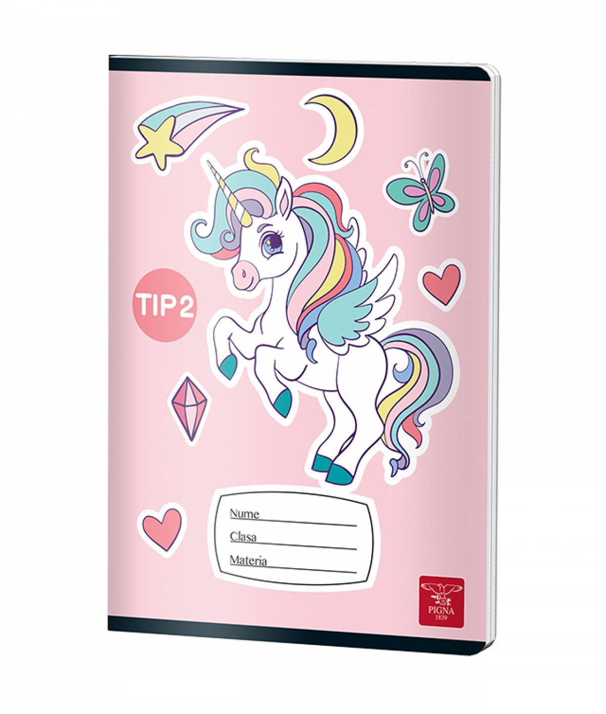 CAIET TIP II 24 FILE COLOR PIGNA