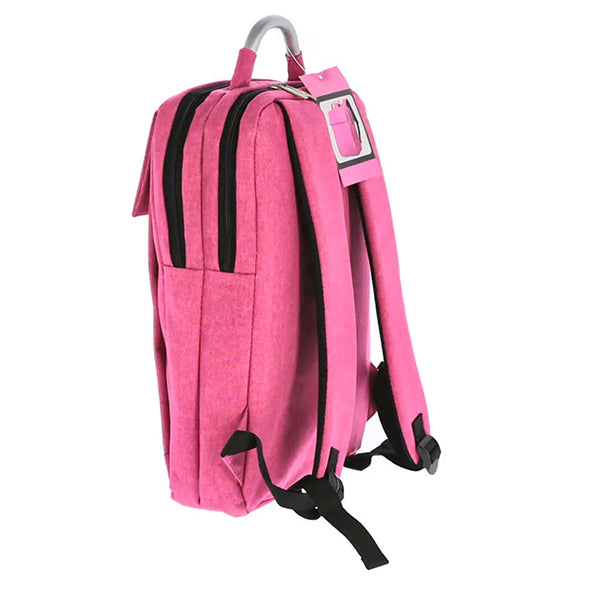 GHIOZDAN LAPTOP PINK IT USB 2 FERMOARE PIGNA