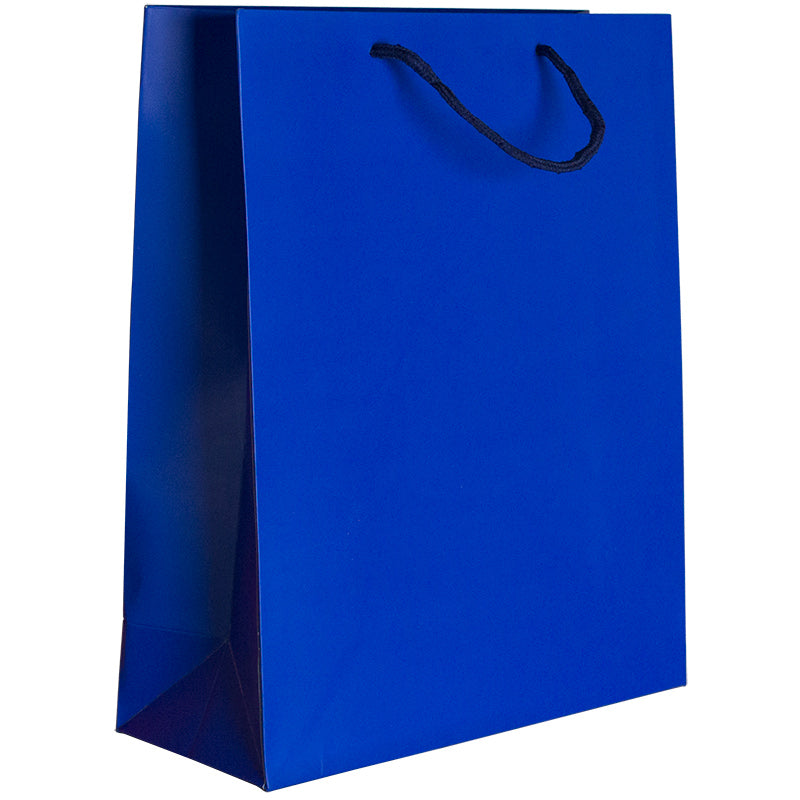Punga carton 210gr plastifiat mat 26*32*11 cm - albastru