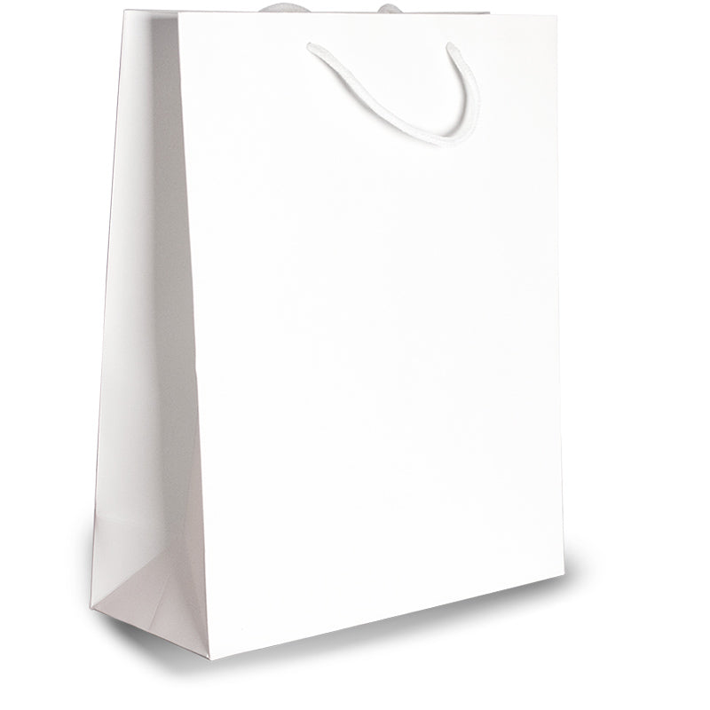 Punga carton 210gr plastifiat mat 26*32*11 cm - alb