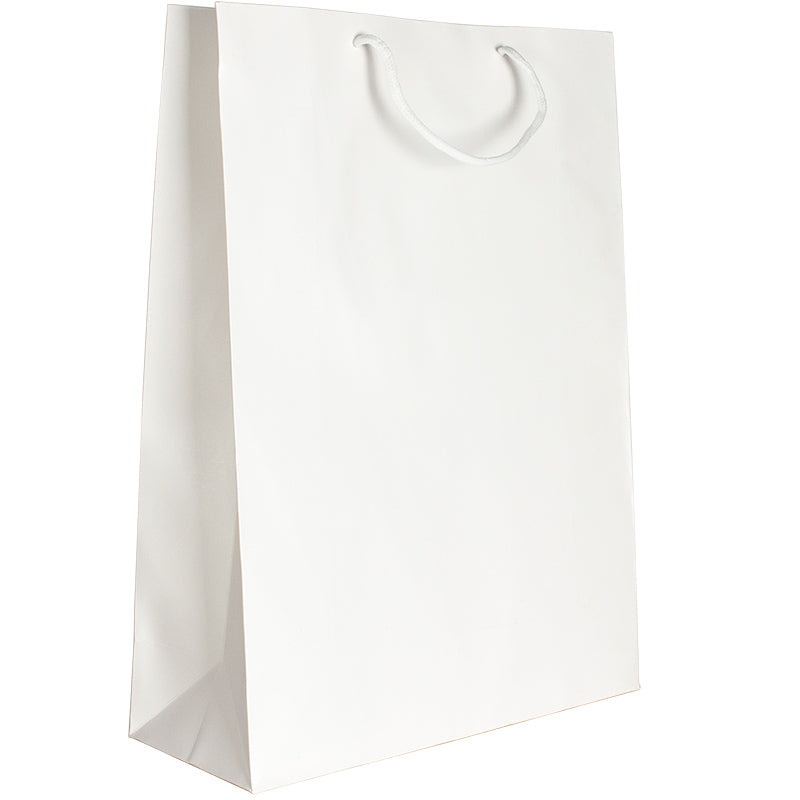 Punga carton 210gr plastifiat mat 31*42*12 cm - alb