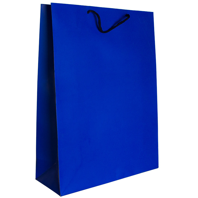 Punga carton 210gr plastifiat mat 31*42*12 cm - albastru