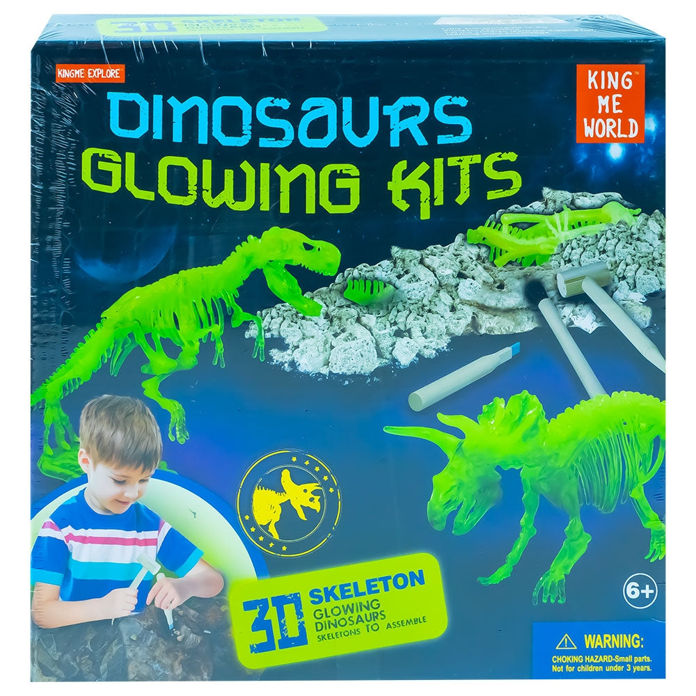 Set paleontologie - Descopera dinozauri 1