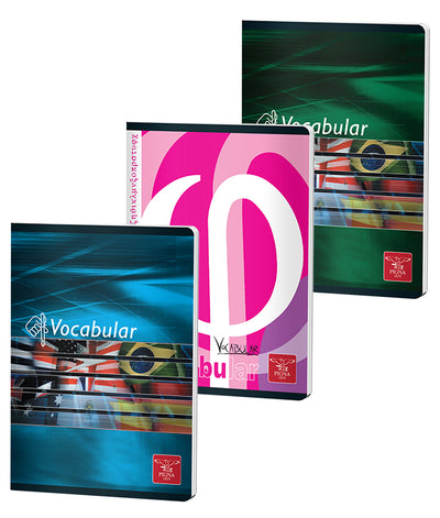 VOCABULAR 24 FILE COLOR PIGNA