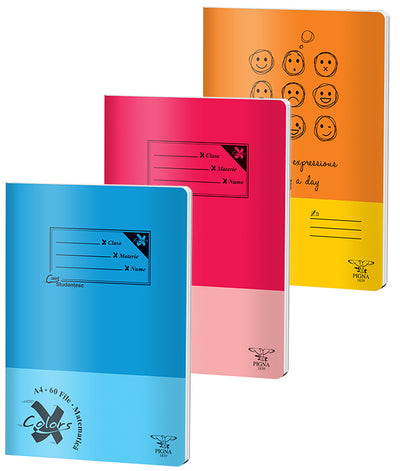 CAIET A4 60 FILE ARITMETICA BASIC PIGNA