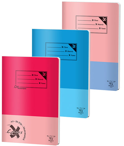 CAIET A4 80 FILE ARITMETICA BASIC PIGNA