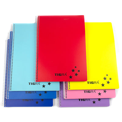 Caiet A4 cu spira si coperti din plastic, 120 file matematica EVOffice