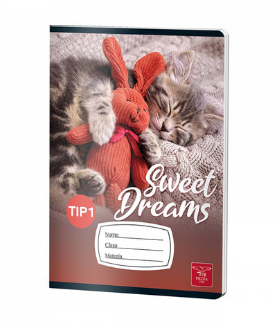 CAIET TIP I 24 FILE COLOR PIGNA