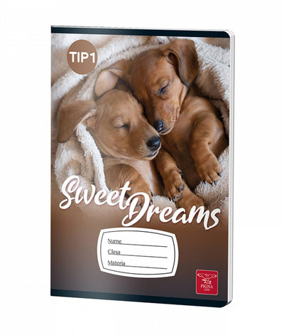 CAIET TIP I 24 FILE COLOR PIGNA