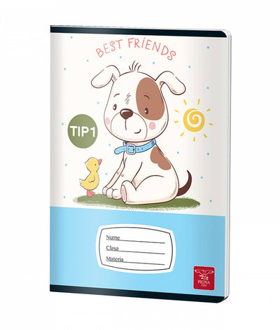 CAIET TIP I 24 FILE COLOR PIGNA
