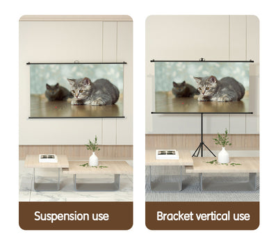 ECRAN PROIECTIE 220 x 124.5 CM MANUAL PE TREPIED DELI