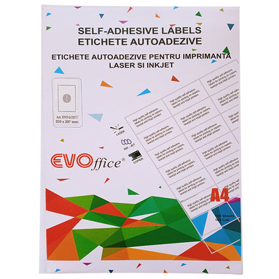 Etichete color verde autoadezive 1/A4 100 coli/cutie EVOffice