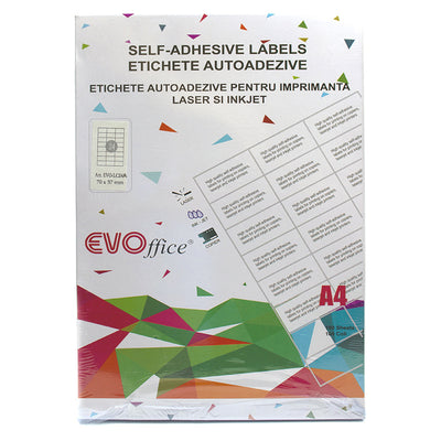 Etichete color albastru autoadezive 24/A4 100 coli/cutie EVOffice