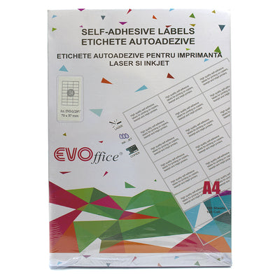 Etichete color verde autoadezive 24/A4 100 coli/cutie EVOffice
