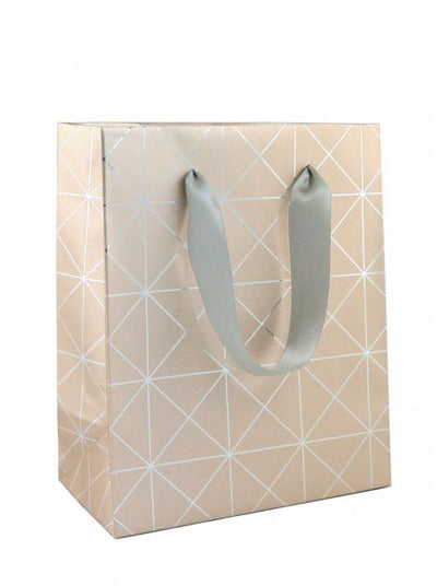 PUNGI CADOU WISH & SHINE L 240 x 100 x 335 MM ROTOLUX