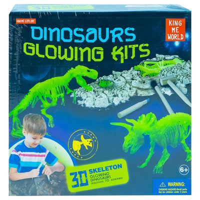 Set paleontologie - Descopera dinozauri 1